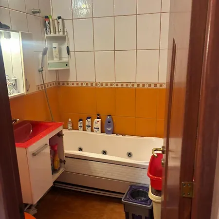 Appartamento Brazda Lui Novac *