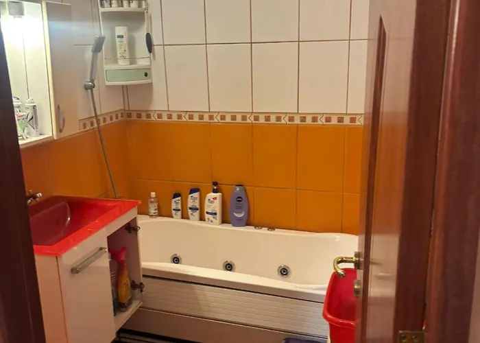 Appartement Brazda Lui Novac *